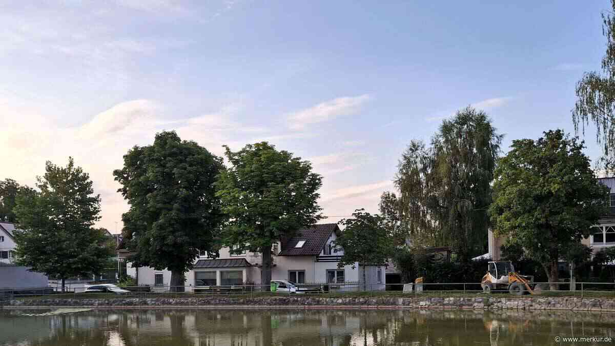 „Das Ortsbild wird leiden“ - Bäume am Dorfweiher müssen weichen wegen Hochwasserschutz