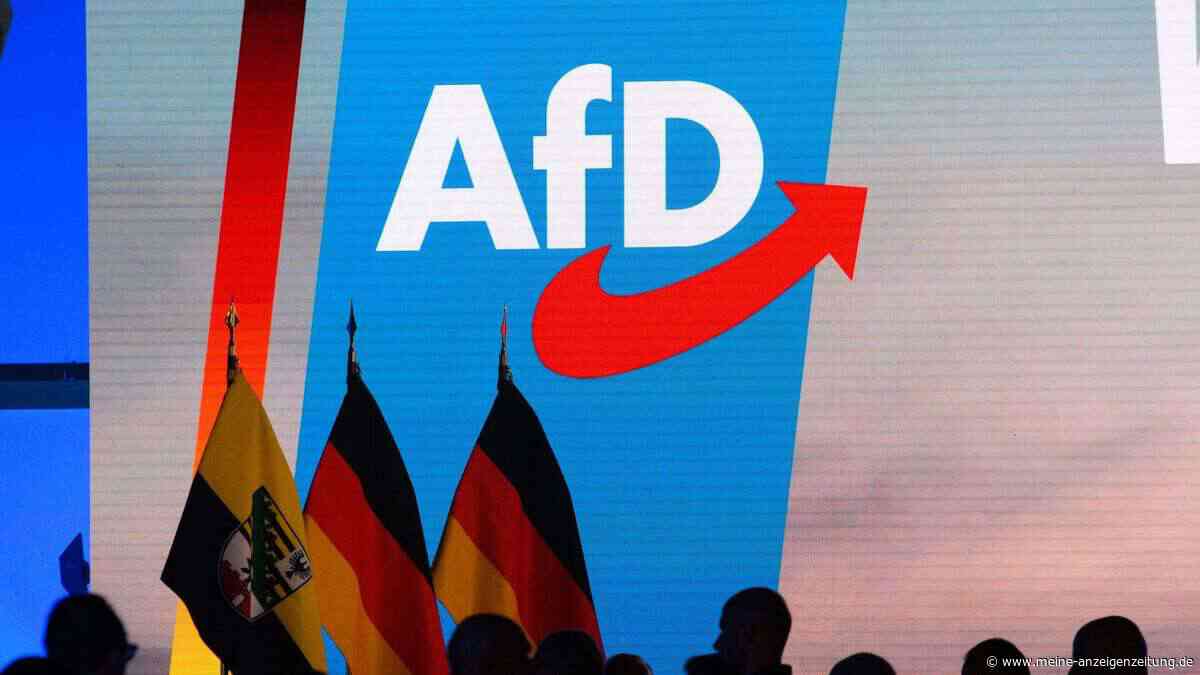 AfD erlebt Umfrage-Aufwind, Linke auf historischem Wert: Rand-Parteien strafen Union und SPD ab