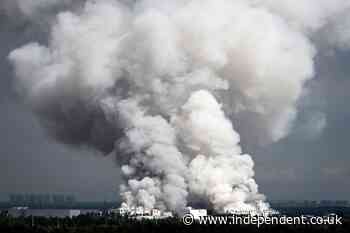 Wildberries: Why Ukraine is blowing up Russia’s ‘Amazon’ with massive strikes