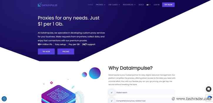 DataImpulse Proxy Service Review
