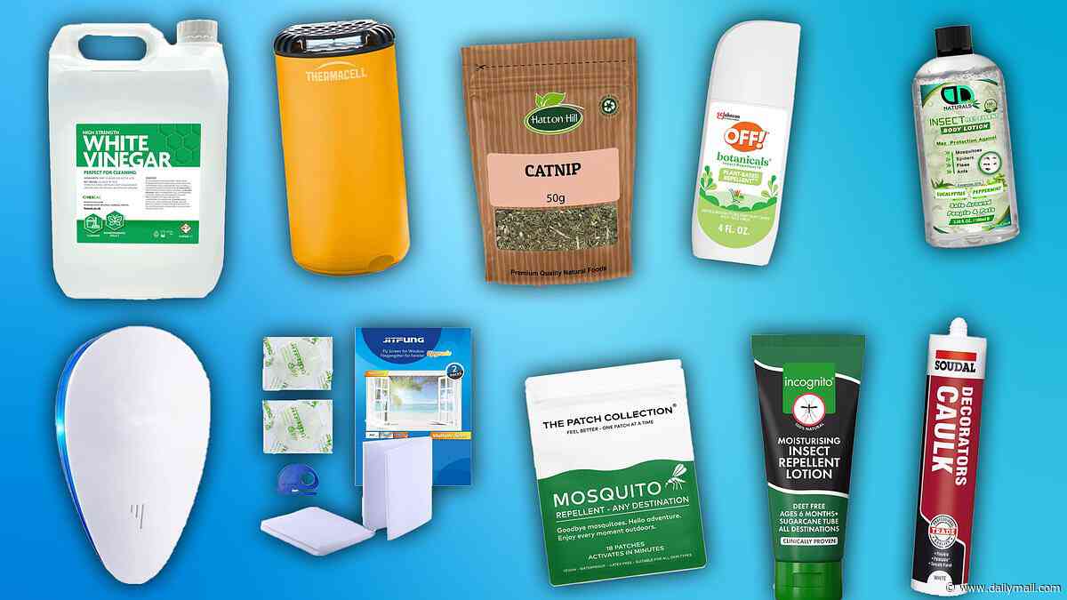 Buzz off! Spray-free hacks for warding off bugs and mosquitos this summer revealed by experts - from 'miracle' £6 body oil and herbs to quirky gadgets