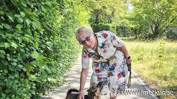 Mit Leine und Plan B: Wenn Hunde in die Seniorenresidenz ziehen
