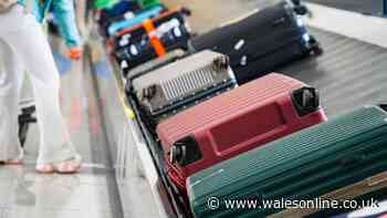 What are your legal rights when airlines lose your luggage at airport