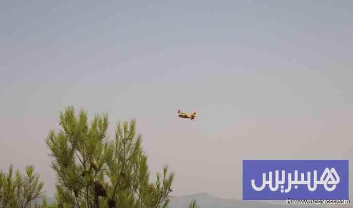 "حريق تغزراتين" يستنفر جهود تازة