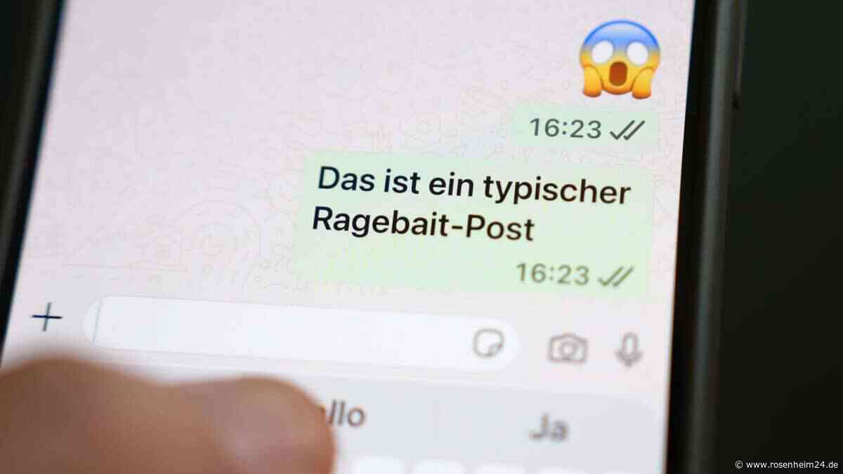 Jugendwort des Jahres 2026: Hier könnt Ihr für Euren Favoriten abstimmen