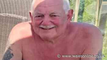 Police looking for missing pensioner as description of vehicle released