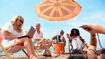 Brits reveal the beach bugbears that ruin a day beside the sea