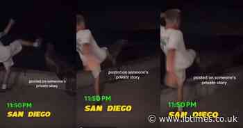 Investigation Launched for California Man Who Kicked a Federally Protected Sea Lion in Viral Video