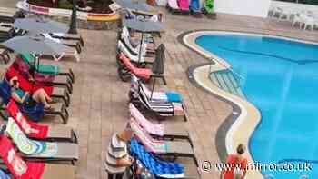 Sunbed wars erupt as Brits battle it out - but efforts turn out to be 'pointless'
