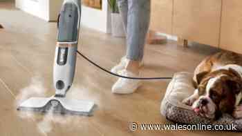 Shark steam mop 'worth every penny' and 'fantastic on laminate floors'