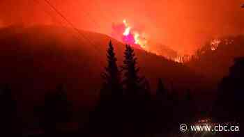 B.C.'s air quality is worsening due to wildfires, report finds