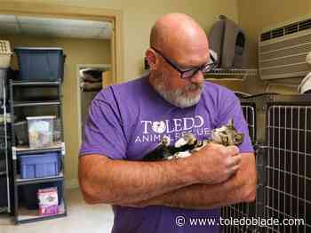 Local animal shelters deal with influx of drop-offs, surrender requests