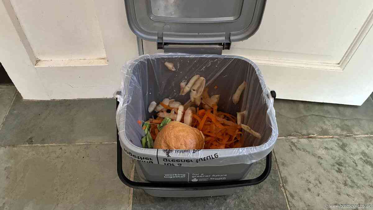 New food caddy bin warning as 'don't put 7 items in' or 'it won't be emptied'