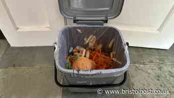 New food caddy bin warning as 'don't put 7 items in' or 'it won't be emptied'
