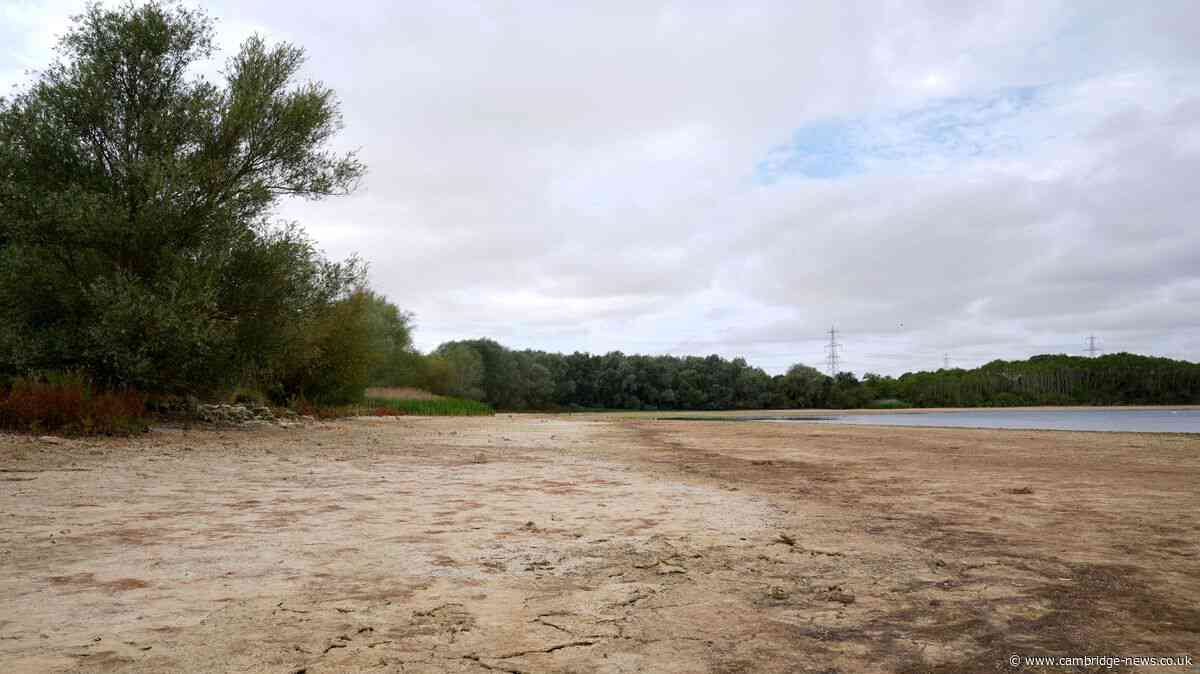 Drought declared across Cambridgeshire after very low rainfall and hot weather