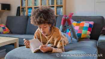 What age can children be left home alone during UK summer holidays