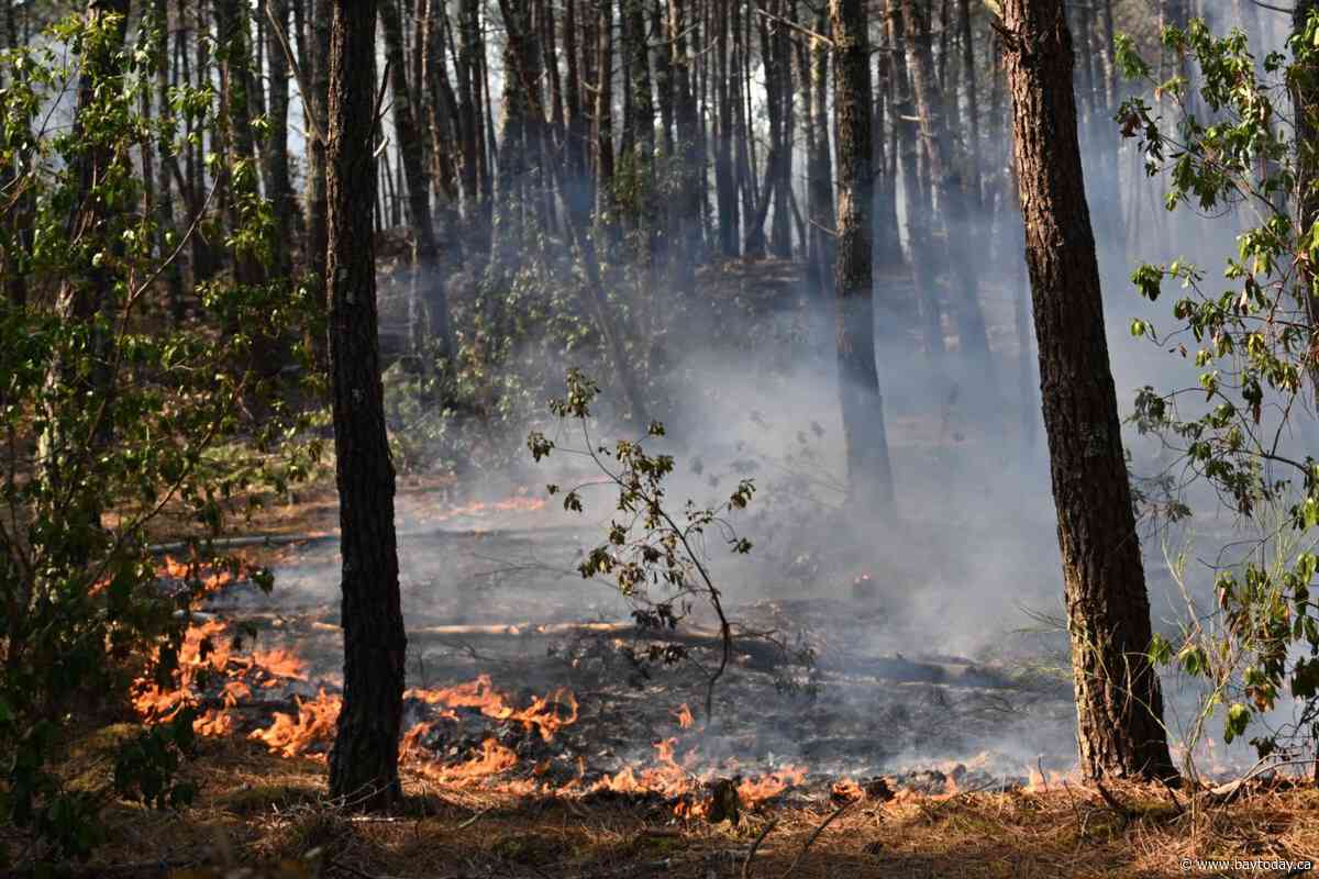 France battles wildfire 4 times the size of Paris as soaring heat threatens new surge