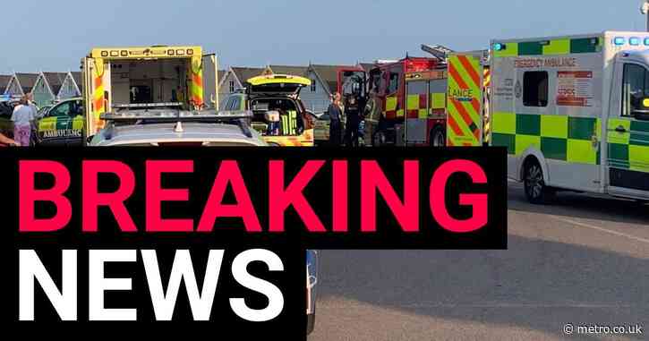 Boy, 7, dies days after being pulled from sea in incident that killed cousin and her mum