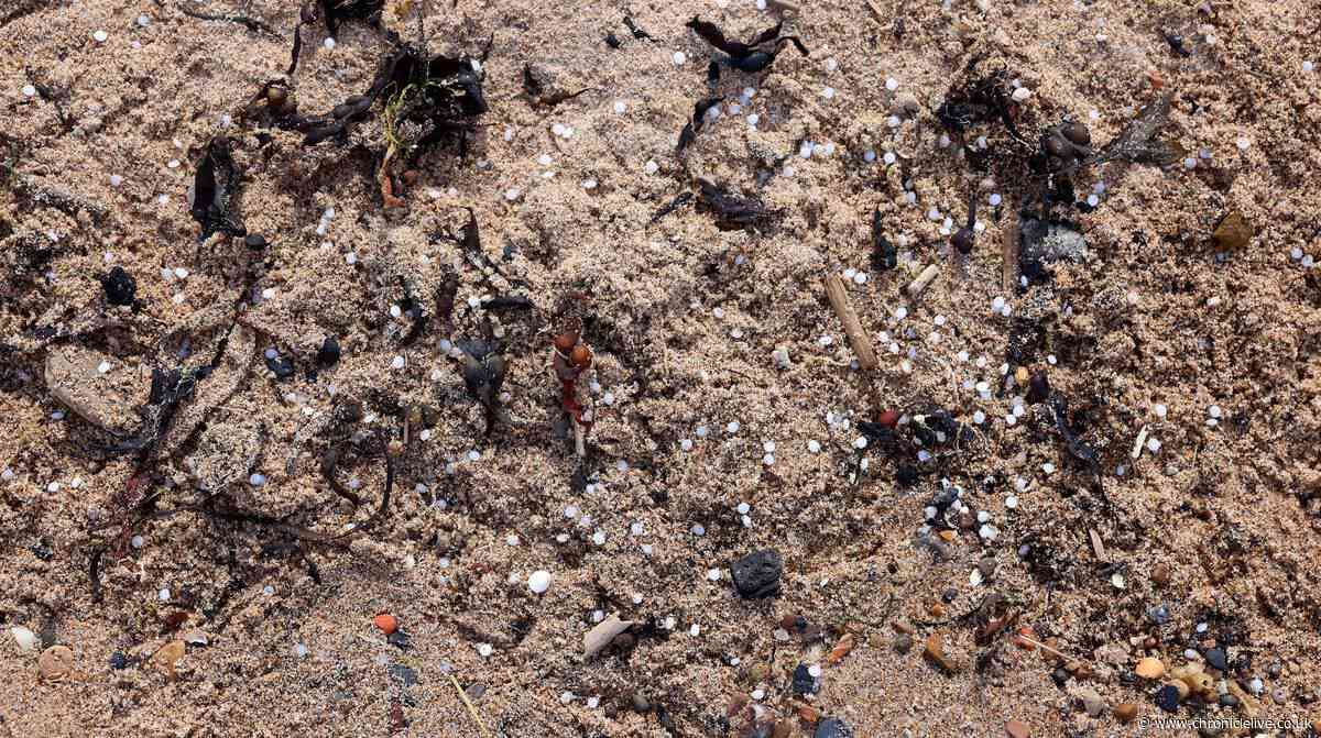 Where and when you can join nurdle beach cleans in the North East