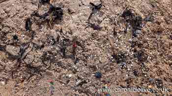 Where and when you can join nurdle beach cleans in the North East