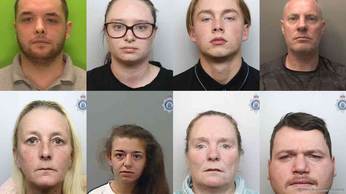 Rival fraud gangs clashed over who had 'right' to steal elderly man's money