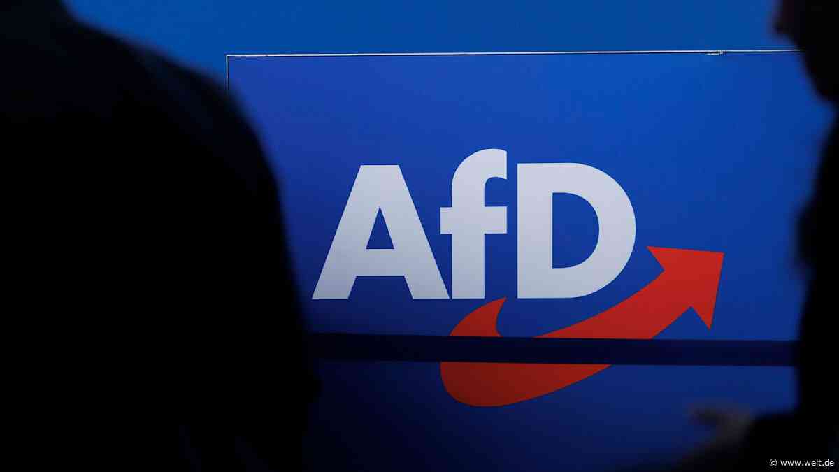Das ist der wahre Grund für den Aufstieg der AfD