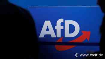 Das ist der wahre Grund für den Aufstieg der AfD