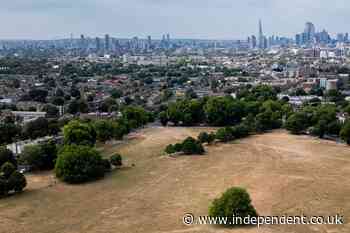 Drought declared for half of England – find out if your area is affected