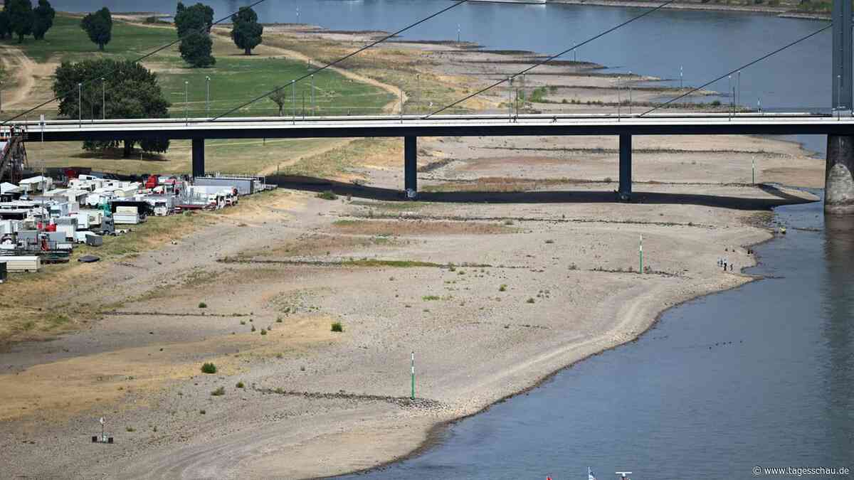 Niedrigwasser auf Rhein und Donau schränkt Schifffahrt ein