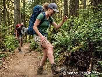 Hikers warned as unusual wasp numbers create trail risk along Sea to Sky corridor
