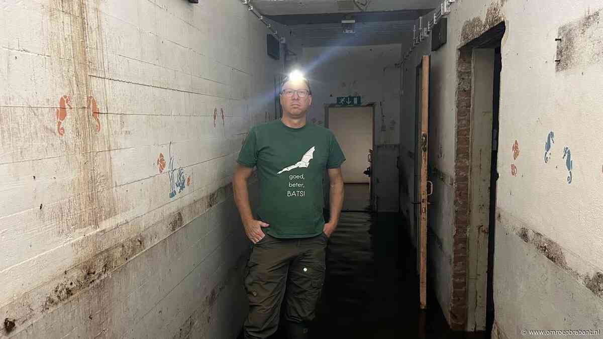 Deze historische bunker moet winterpaleis voor vleermuizen worden