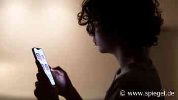 Jugendschutz: Österreich beschließt Altersnachweis für Pornowebsites – und Social-Media-Verbot