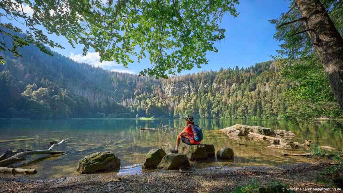 Sommerferien in Baden-Württemberg starten: Diese 4 schönen Ausflüge sollten Sie einplanen