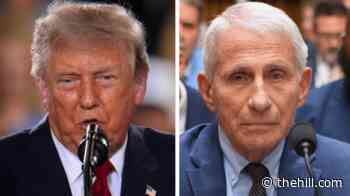 Trump blasts Fauci ahead of Senate testimony: 'His ideas were CRAZY!'