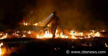 Wildfire in France has burned an area four times the size of Paris