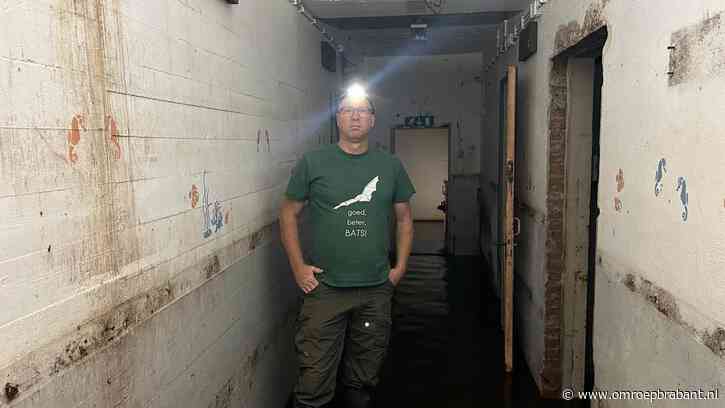 Deze historische bunker moet winterpaleis voor vleermuizen worden