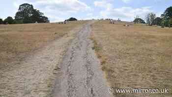 'Use less water' alert as drought declared in half of England - water saving tips
