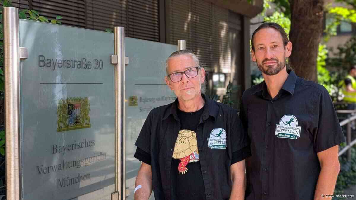 „Setzt sie doch in den Gartenteich des Bürgermeisters“: Schildkröten-Zoff mit Stadt endet in Wutrede