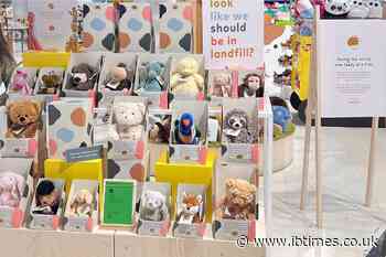 Loved Before: The Eco-Friendly, Fully Sustainable Toy Adoption Agency