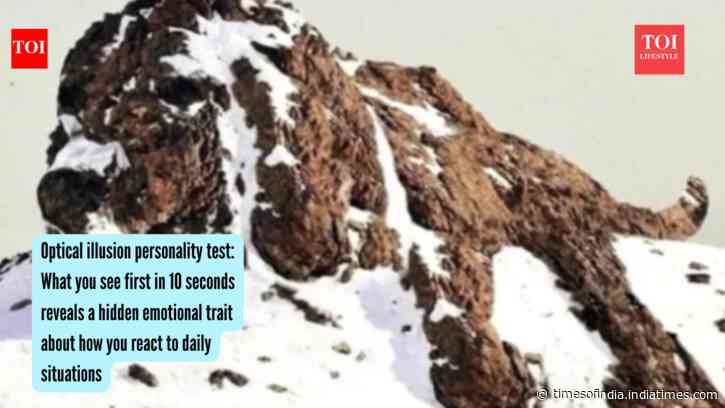 Optical illusion personality test: What you see first in 10 seconds reveals a hidden emotional trait about how you react to daily situations