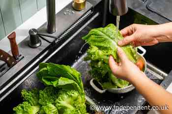 Infectious disease expert shares how to safely eat lettuce amid Cyclospora outbreak