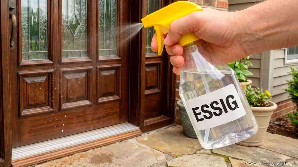 Was es nützt, Essig an der Haustür zu versprühen?