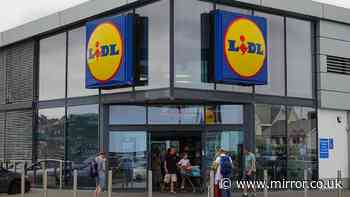 Lidl's new glass air fryer similar to Ninja version is coming out on Sunday