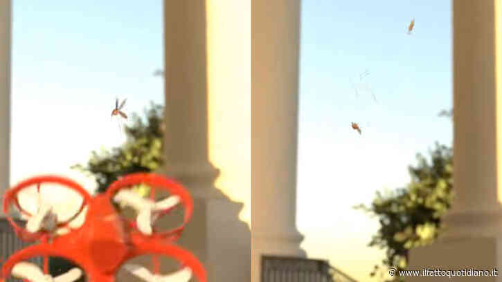 Arriva il drone “ammazza zanzare”: “Individua gli esemplari che punzecchiano e trasmettono malattie e li abbatte in volo”