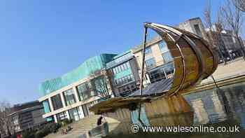 Swansea park to be new home of iconic city artwork