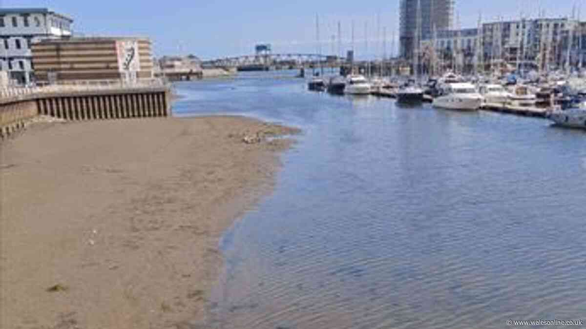 Swansea boat trips cancelled with river levels 'lowest in 20 years'