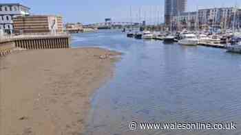 Swansea boat trips cancelled with river levels 'lowest in 20 years'