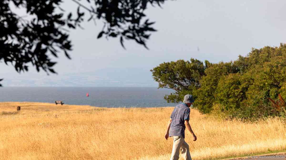 Met Office says heatwaves possible until September, but there's plenty of rain on the way