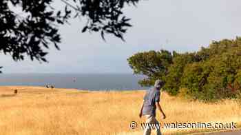 Met Office says heatwaves possible until September, but there's plenty of rain on the way