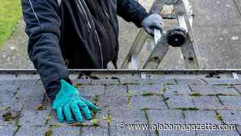 What are the first steps after discovering a roof leak?